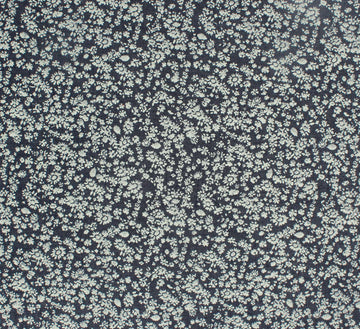BDRID-10